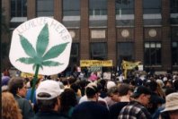Hash Bash 2001